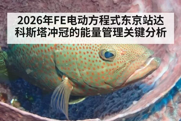 2026年FE电动方程式东京站达科斯塔冲冠的能量管理关键分析